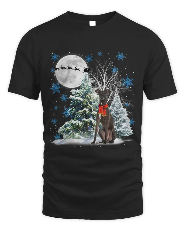 Greyhound Under Moonlight Snow Christmas Pajama 113