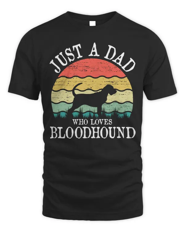 Just A Dad Who Loves Bloodhound Dog Lover DAD Sweatshirt