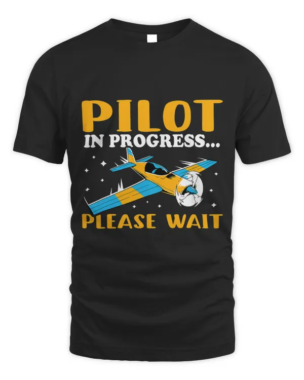 Airplane Pilot in Progress.. Please Wait