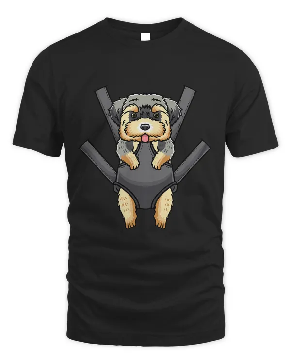 Morkie Dog In Baby Carrier