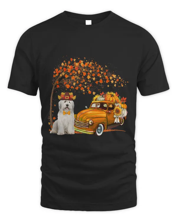 Bearded Collie Wearing Hat Fall Tree Pickup Truck Pumpkins