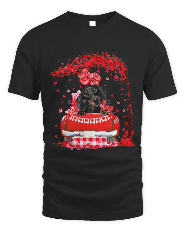 Cute Red Truck Dachshund Valentines Day Costume Boy Girl