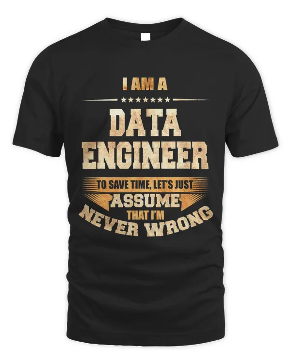 Data Engineer To Save Time Im Never Wrong Funny Job