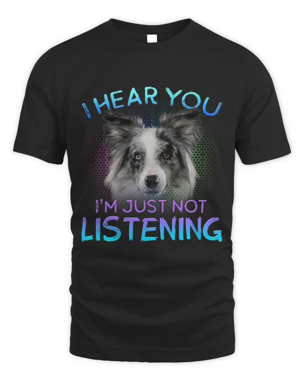 Blue Merle Collie I hear you not listening