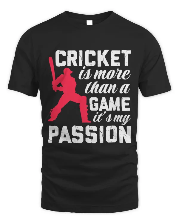 Cricket Game Its A Passion Player Batter Batsman