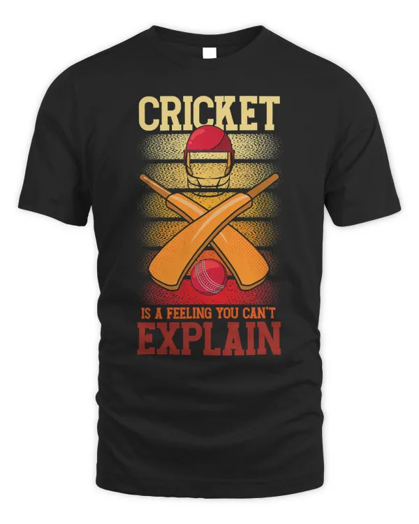 Cricket Is Feeling You Cant Explain Cricket Player