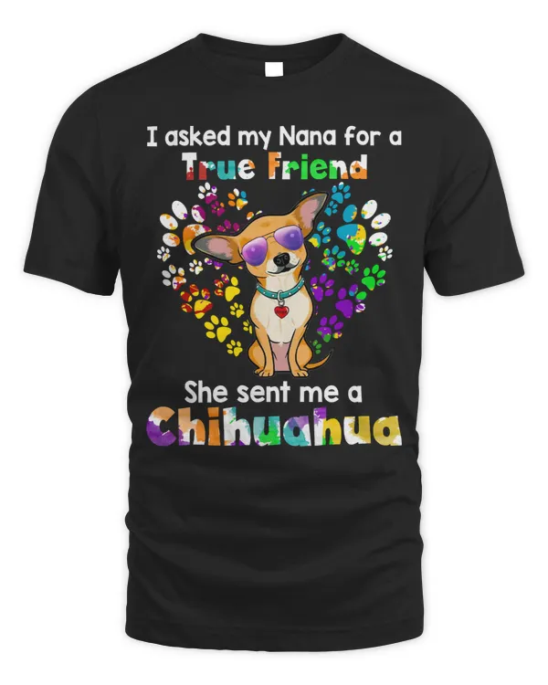 Chihuahuas I Asked My Nana For A true Friend She Sent Me A chihuahua Chihuahua Dog