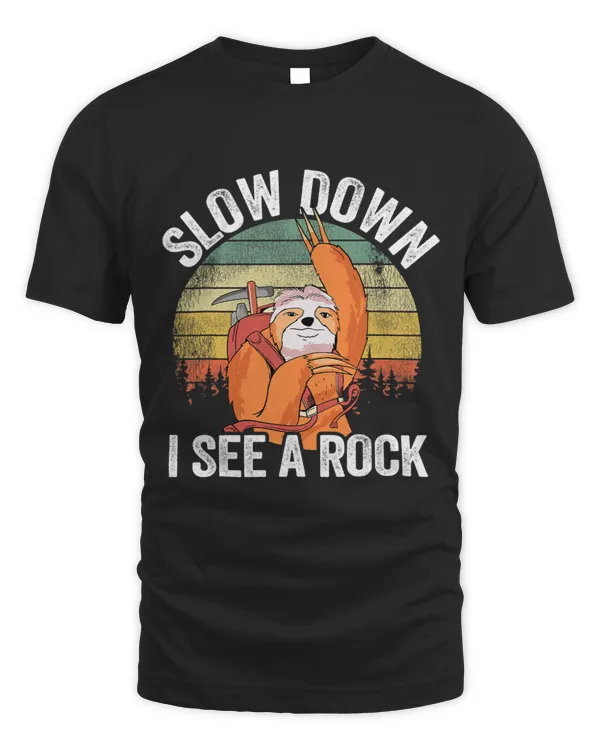 Slow Down I See A Rock Vintage Sunset Retro Sloth Geologist