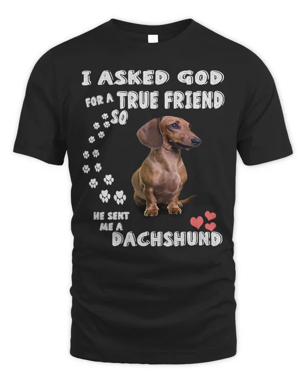 Wiener and doxie Lovers I Ask God For A True Friend He Sent Me A Dachshunds 448 Dachshund Doxie