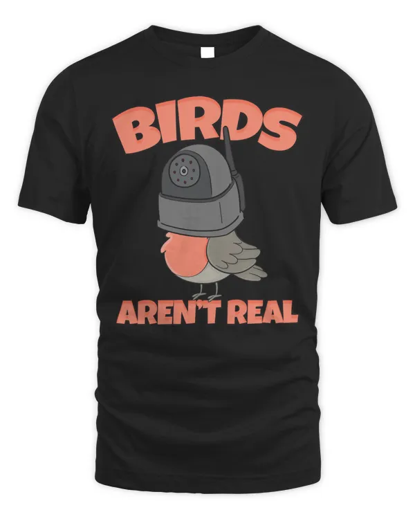 Birds Are Not Real Drone Conspiracy Theorists Bird Watching Pullover Hoodie