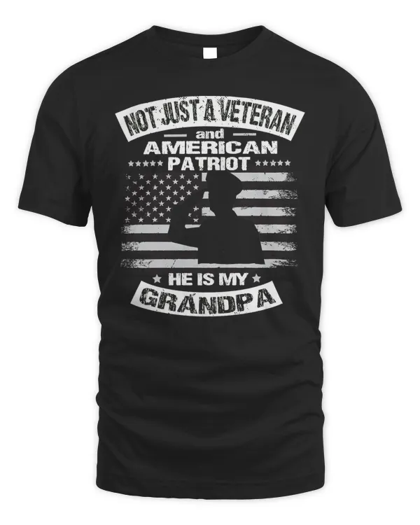 Nice american patriot soldier dad grandpa veterans day t-shirt