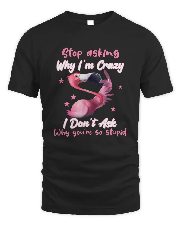 Stop Asking Why I'm Crazy I Don't Ask Why You're So Stupid T Shirt