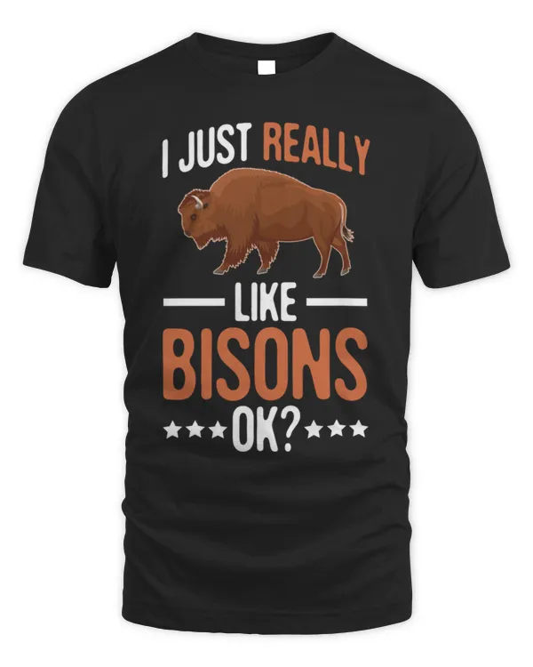 Bison American Buffalo Vintage Retro Funny Animals Gift Pullover Hoodie