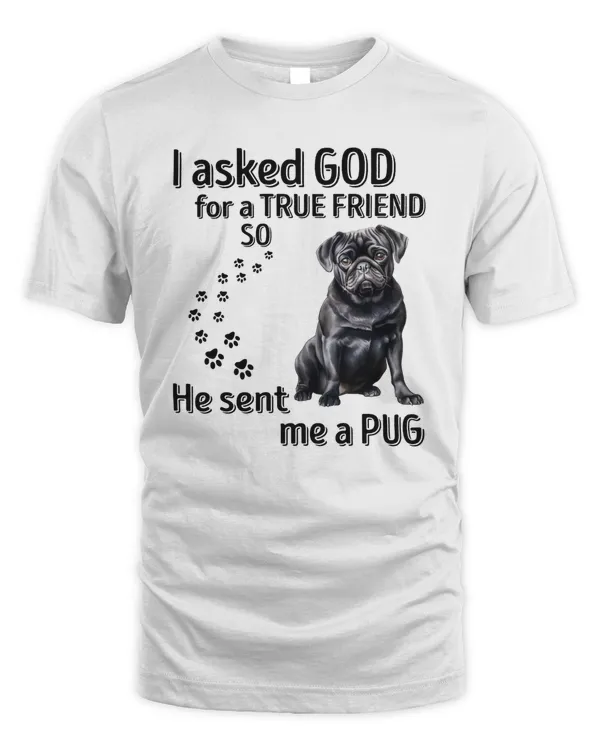 He sent me a Pug