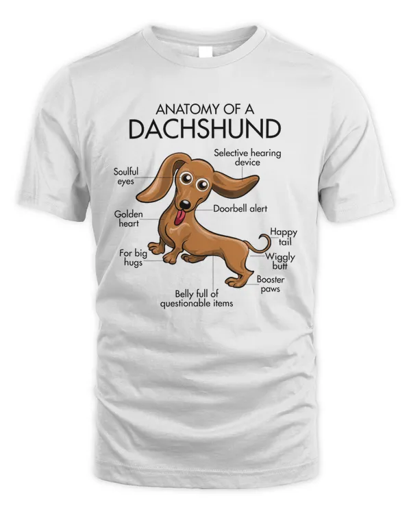 Anatomy Of A Dachshund