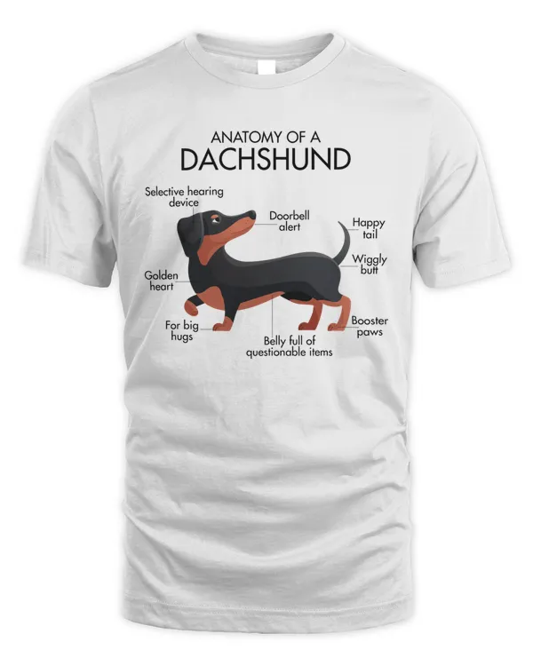 Anatomy Of A Dachshund