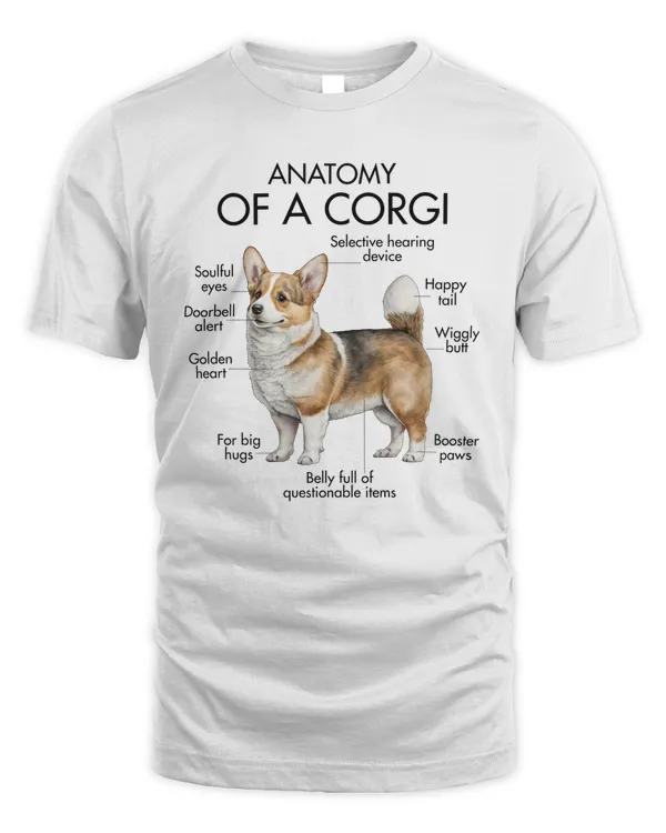 Anatomy Of A Corgi