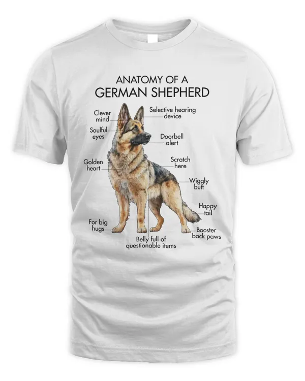 Anatomy Of A German Shepherd