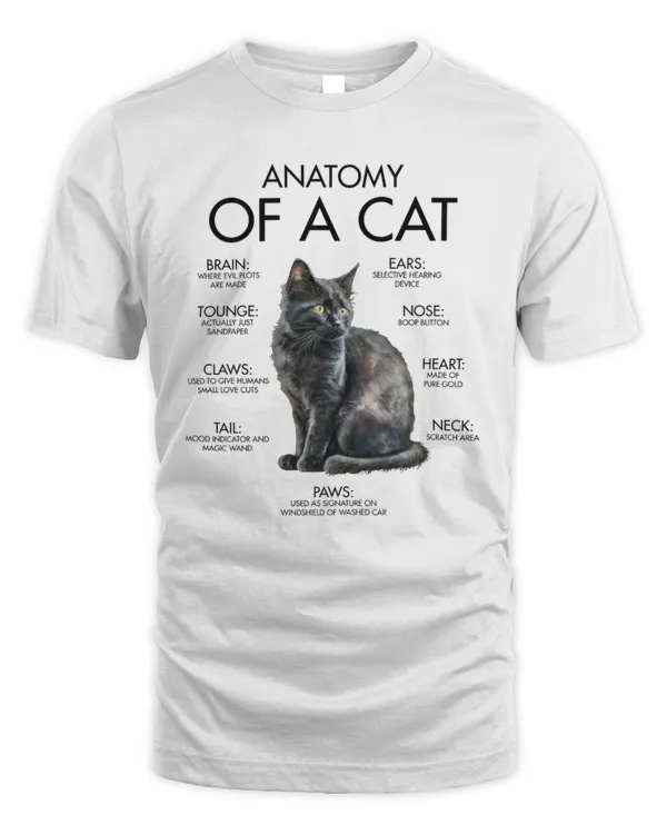 Anatomy Of A Cat