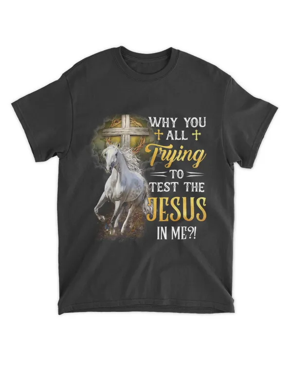 Jesus Horse Test Jesus In Me