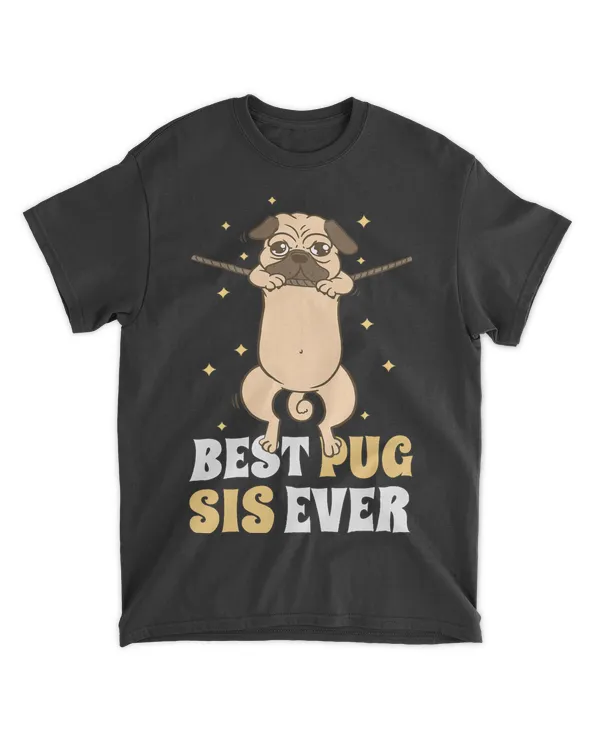 Best Pug Sis for the Sister with a Dog