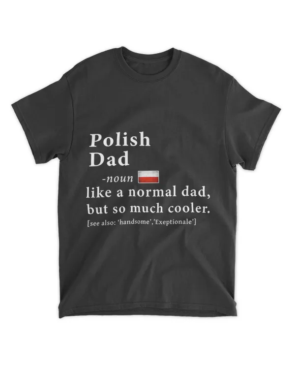 Mens Polish Dad Definition Shirt Fathers Day Gift Flag T Shirt