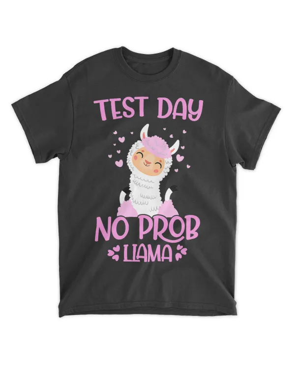 Test Day No ProbLlama Teacher Student Exam Day Funny 21