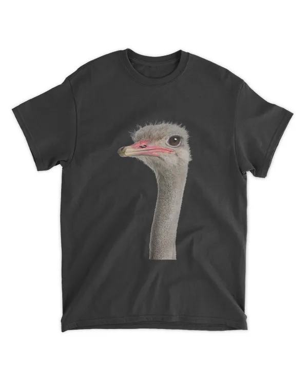 Ostrich Bird For Bird Watchers And Animal Lovers