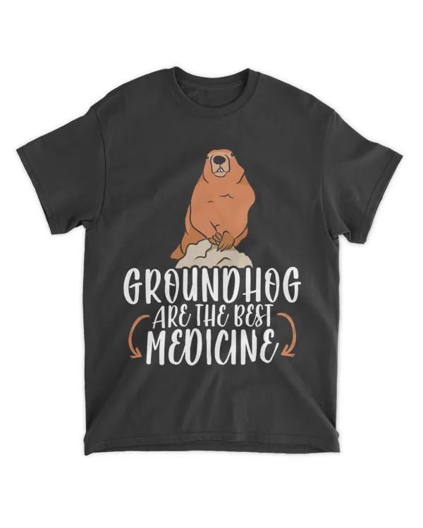 Groundhog Rodent Marmots 27