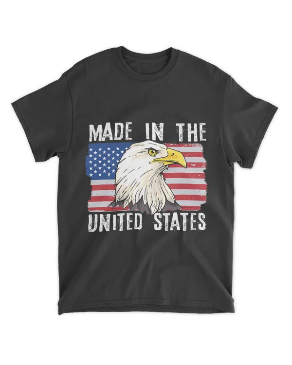 4th of July Independence Day USA Flag Bald Eagle 21