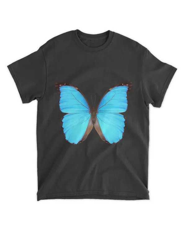 majestic butterfly 2blue butterflies morpho