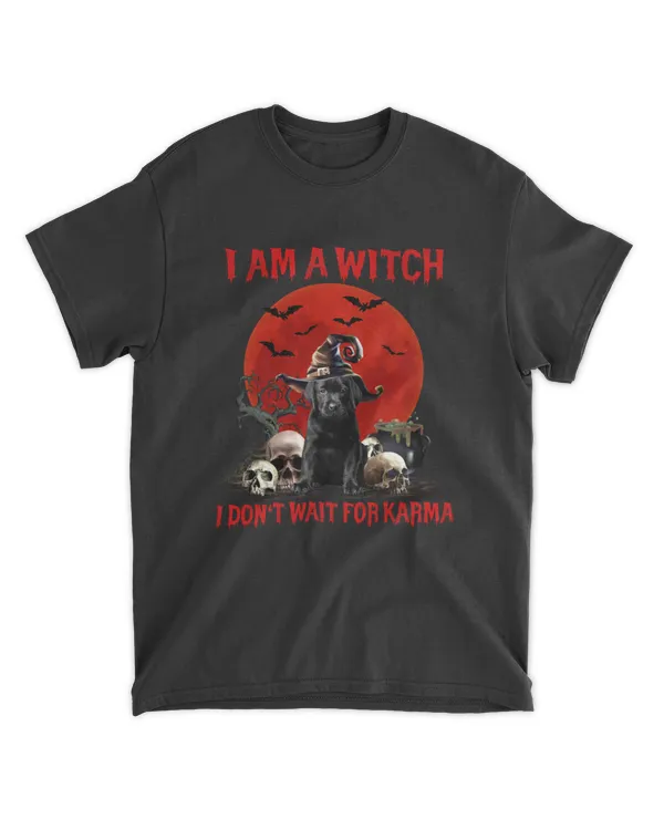 i am a witch - labrador red moon halloween skull