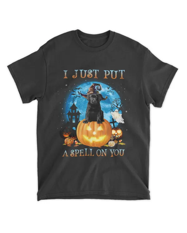 i just put spell - labrador halloween pumpkin blue moon background