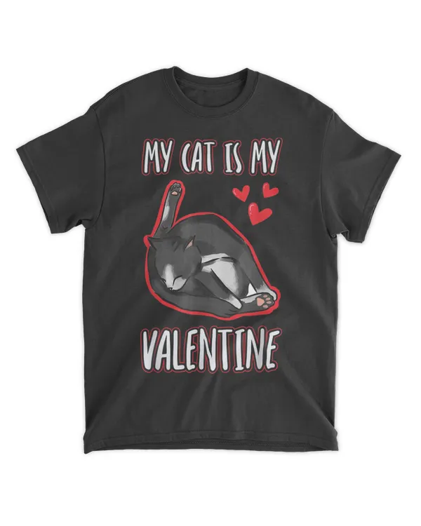 Valentine's Day Funny Cat Lover QTCATVL201222A44