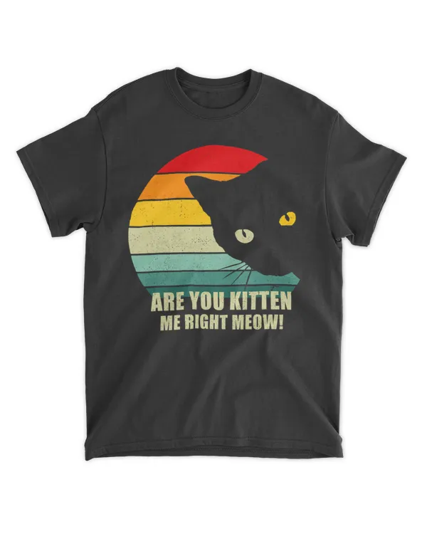 Cute Funny Retro Cat Are You Kitten Me Right Meow Cat Lover HOC250323A6