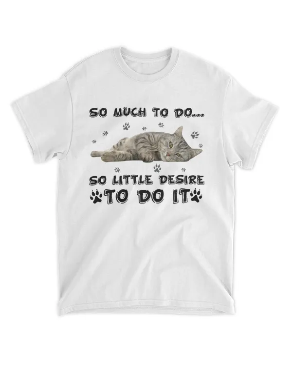 So much to do so little sesire to do it cat
