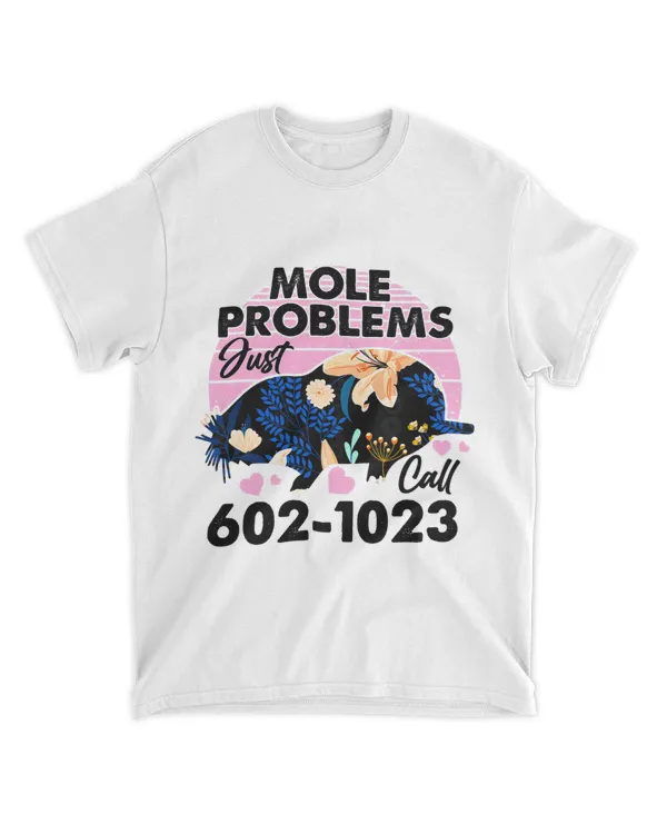 Mole Day Mole Problems Just Call Avogadros Number 602 1023 32