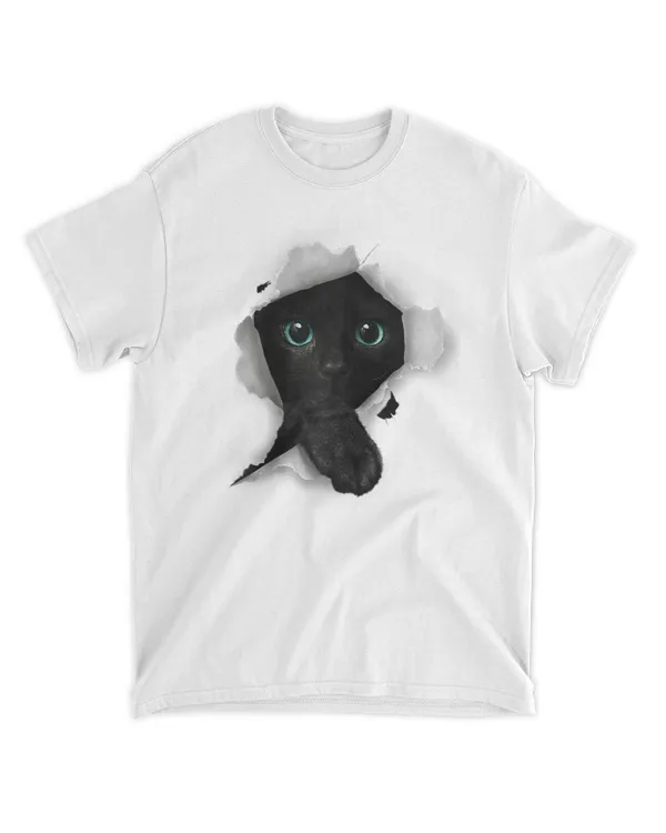 Cat Shirt, Cat Tshirt, Black Cat Torn Cloth Shirt, Kitten Raglan HOC060423A2