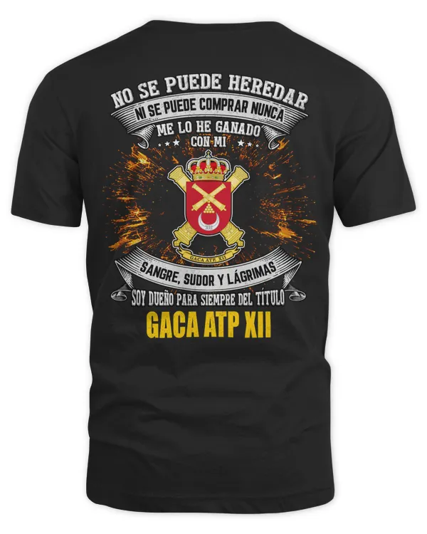 Grupo de Artillería de Campaña Autopropulsada XII (GACA ATP XII)