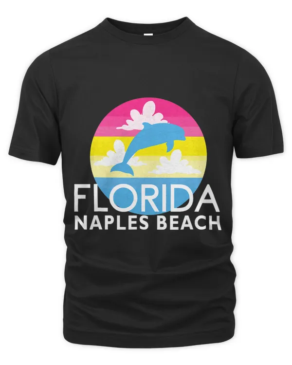 Pink Dolphin Sunset Naples Beach FL Dolphin Naples Florida