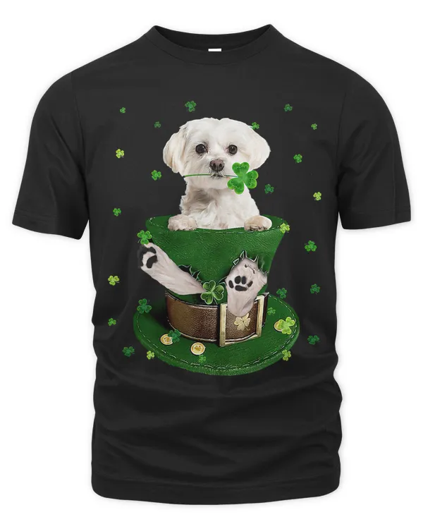 St Patricks Day Leprechaun Maltese Dog Shamrock Irish