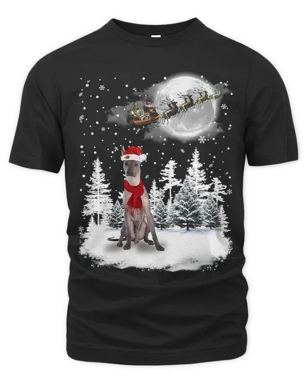 Xoloitzcuintli Dog Under Moonlight Snow Christmas Pajama 286