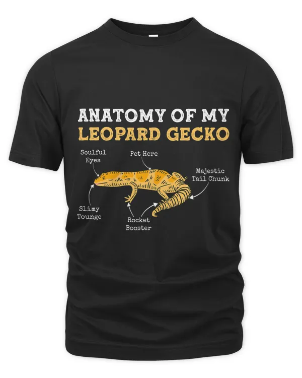 Anatomy Of My Leopard Gecko