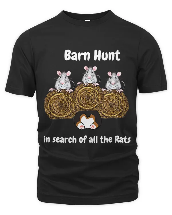 Funny Barn Hunt in search of rats with a tricolored Corgi