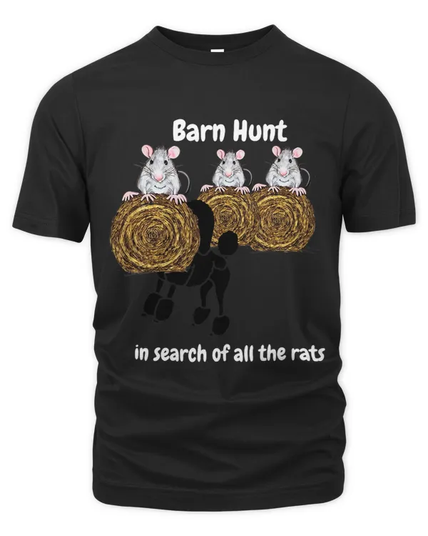 Funny Barn Hunt in search of rats with black poodle