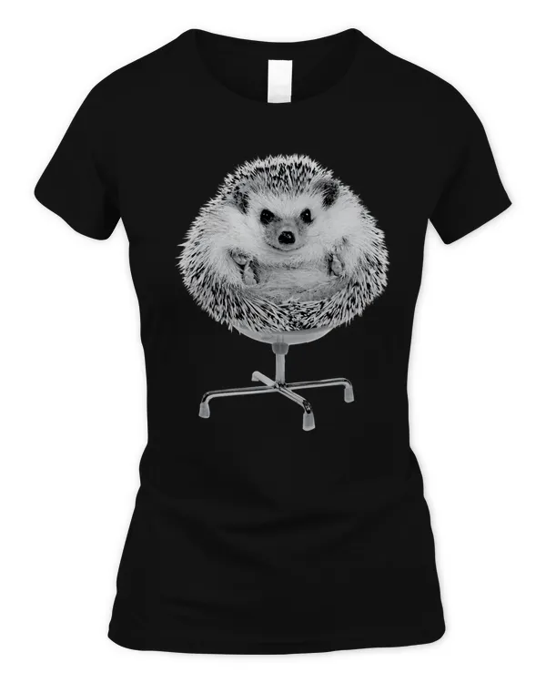 Women's Soft Style Fitted T-Shirt