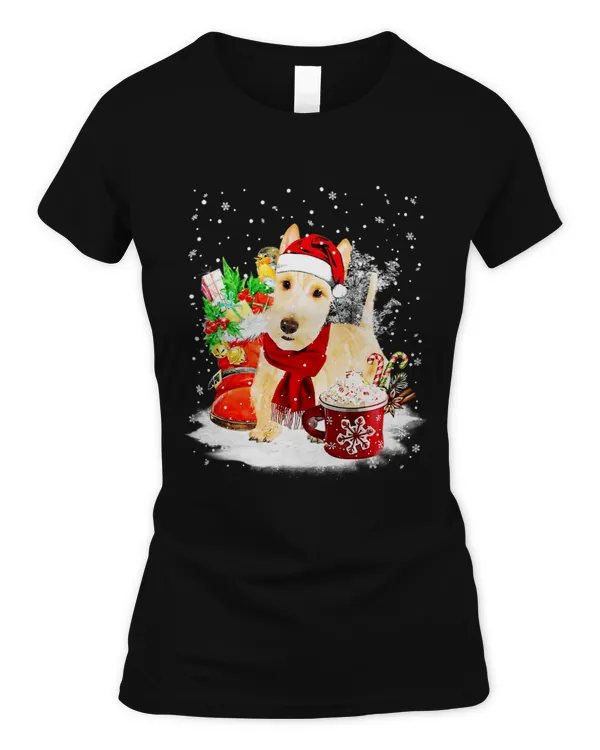 Women's Soft Style Fitted T-Shirt