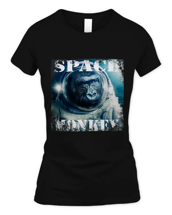 Women's Soft Style Fitted T-Shirt