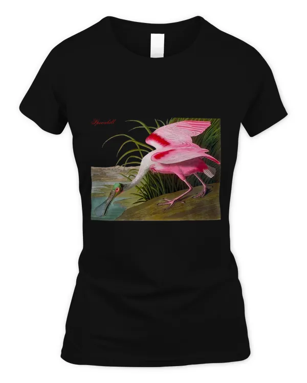 Women's Soft Style Fitted T-Shirt