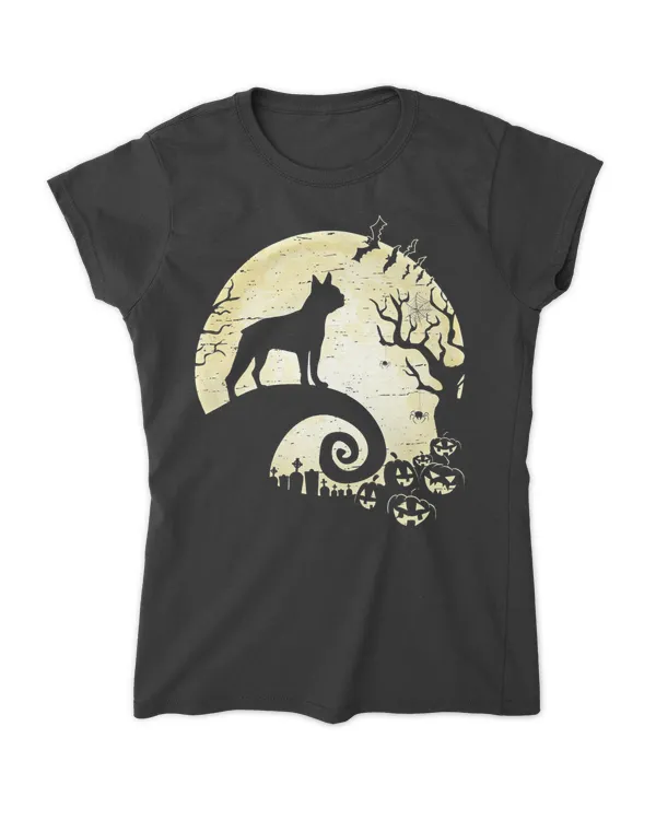 Women's Soft Style Fitted T-Shirt